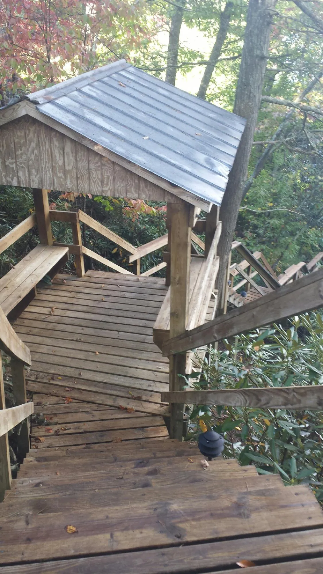 Metal roofed shelter over wooden steps on a wooded walkway — Skylight Repair & Installation work by our crew in Rio Medina